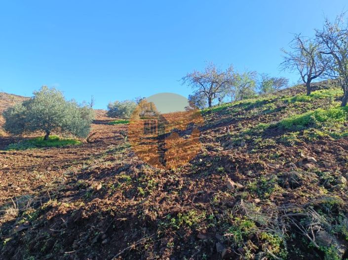 Image No.49-Plot for sale