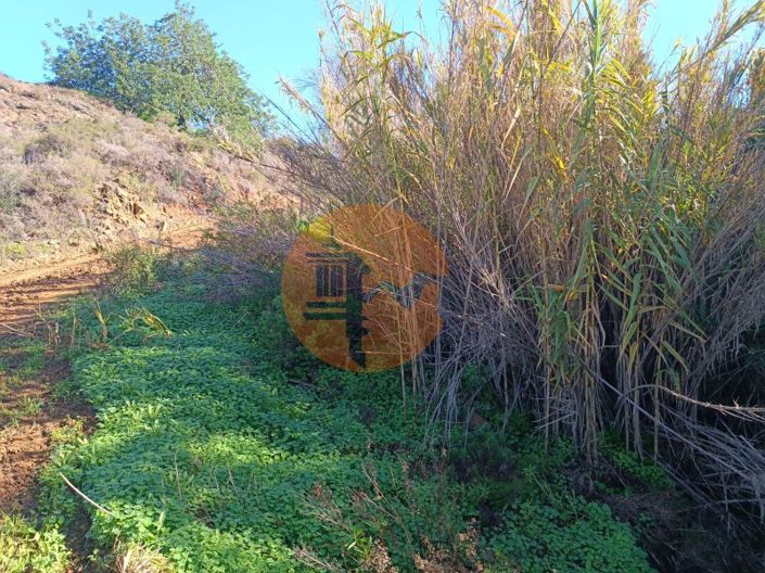 Image No.62-Plot for sale