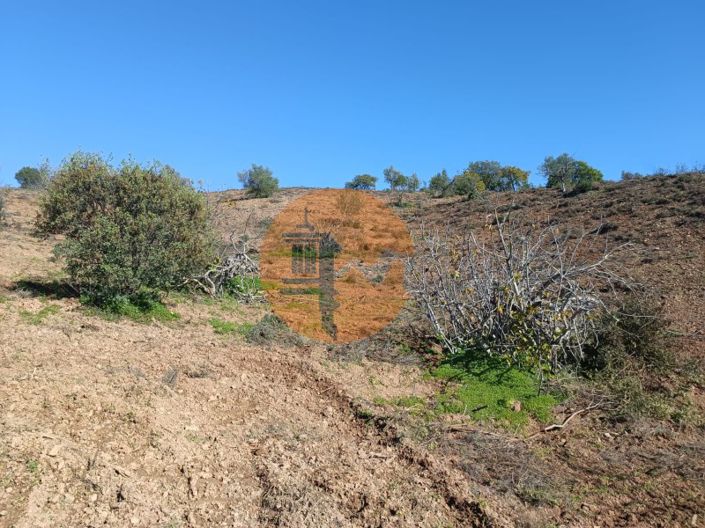 Image No.64-Plot for sale