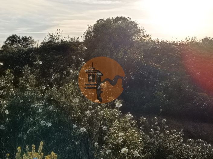 Image No.37-Plot for sale