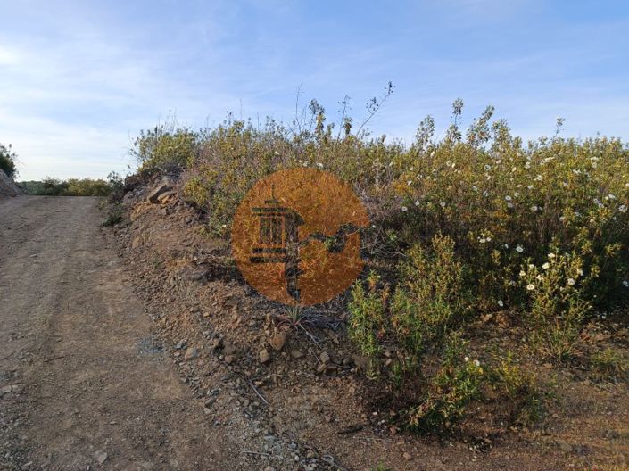 Image No.8-Plot for sale