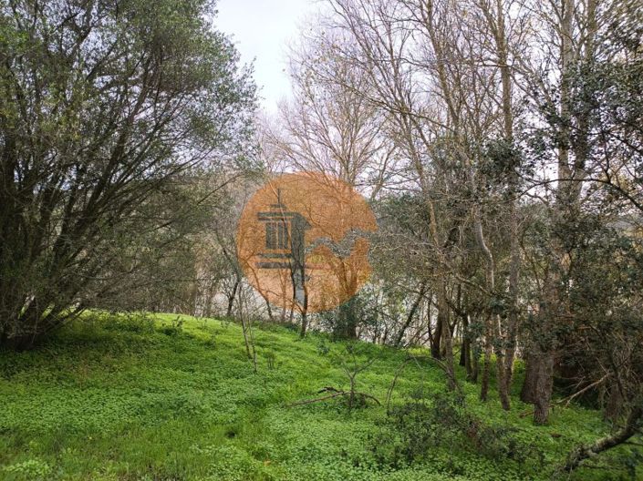 Image No.15-Plot for sale