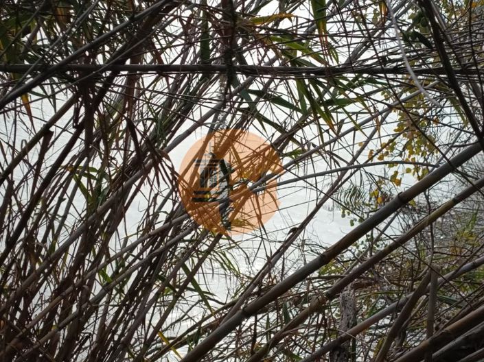 Image No.18-Plot for sale