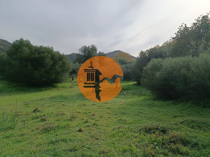 Image No.22-Plot for sale