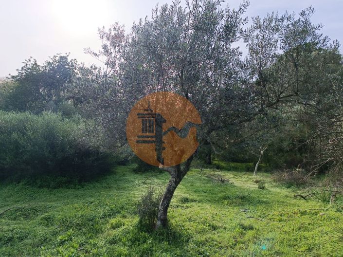 Image No.23-Plot for sale