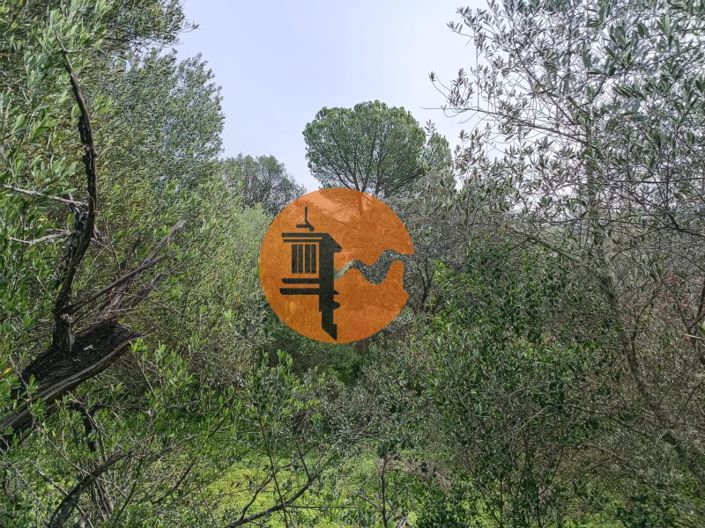 Image No.5-Plot for sale