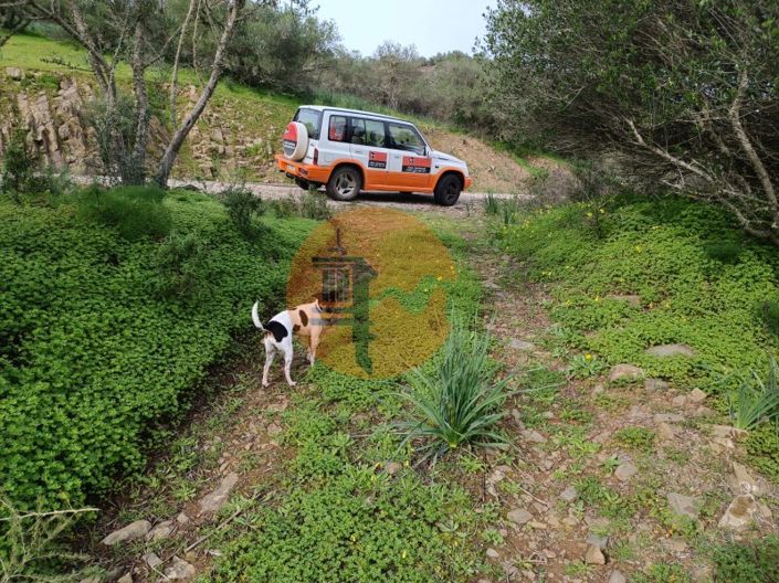 Image No.6-Plot for sale