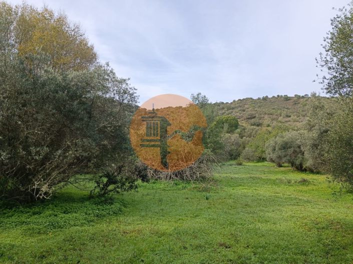 Image No.8-Plot for sale