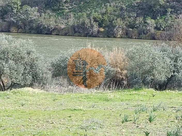 Image No.10-Terrain à vendre à Alcoutim