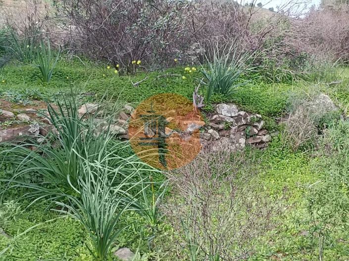 Image No.12-Plot for sale