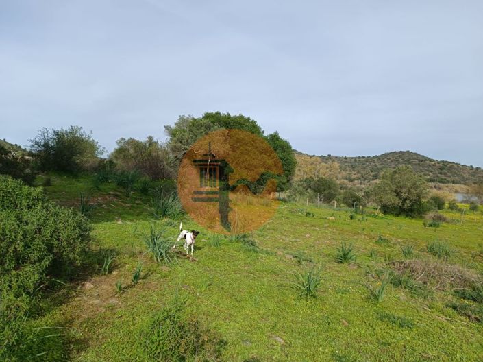 Image No.15-Plot for sale