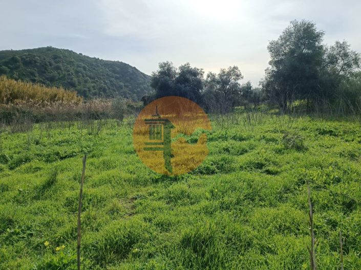 Image No.16-Terrain à vendre à Alcoutim