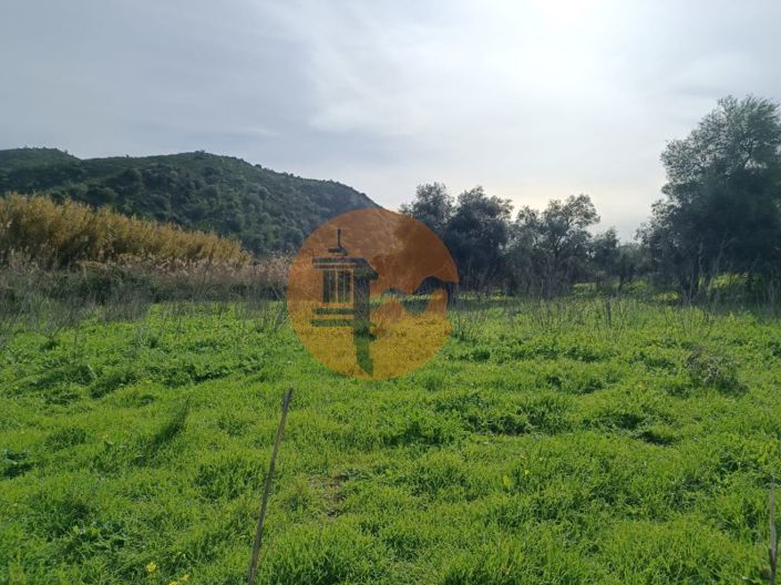 Image No.17-Terrain à vendre à Alcoutim