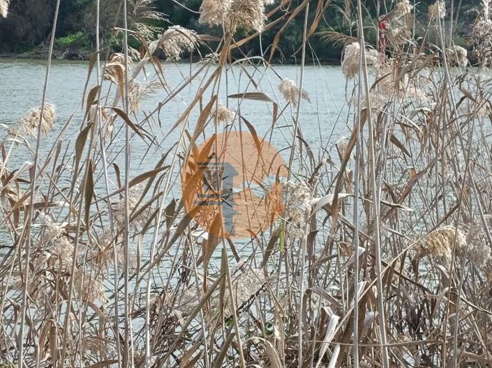 Image No.21-Plot for sale