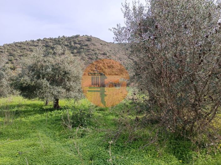 Image No.23-Plot for sale