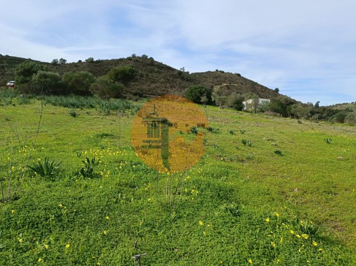 Image No.24-Terrain à vendre à Alcoutim