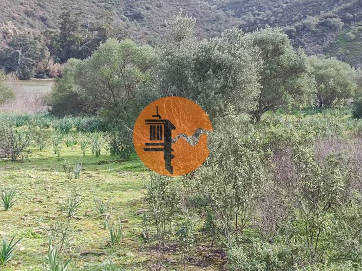 Image No.4-Plot for sale