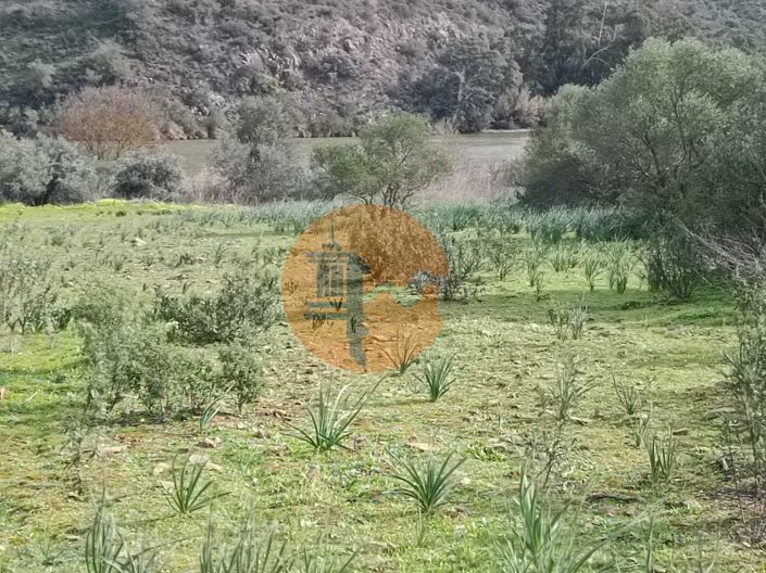 Image No.5-Plot for sale