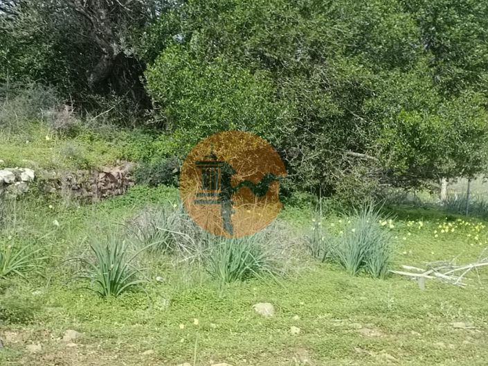 Image No.6-Terrain à vendre à Alcoutim