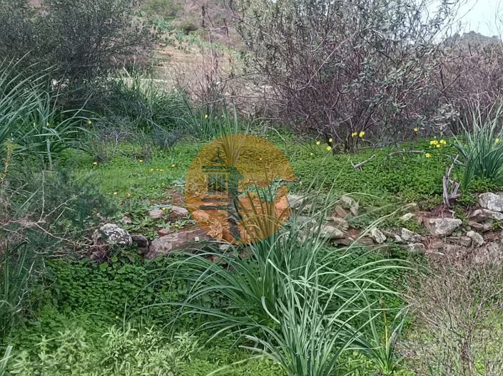 Image No.8-Terrain à vendre à Alcoutim