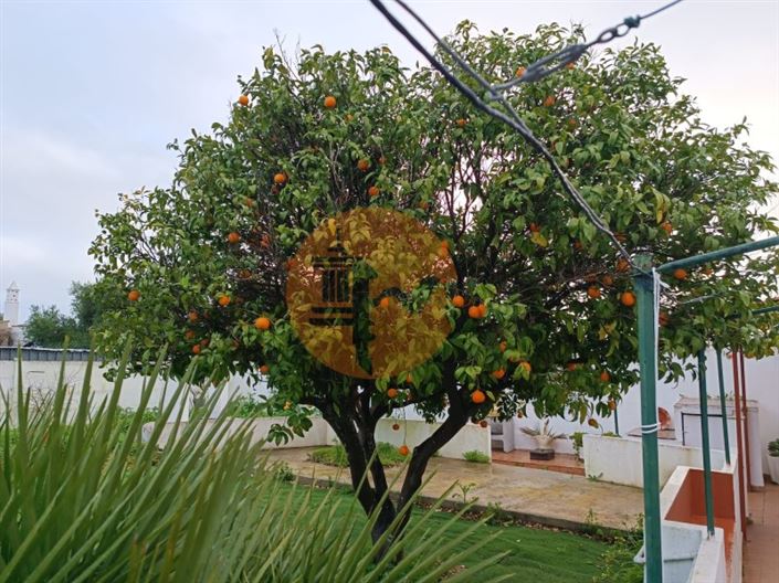 Image No.6-4 Bed House for sale