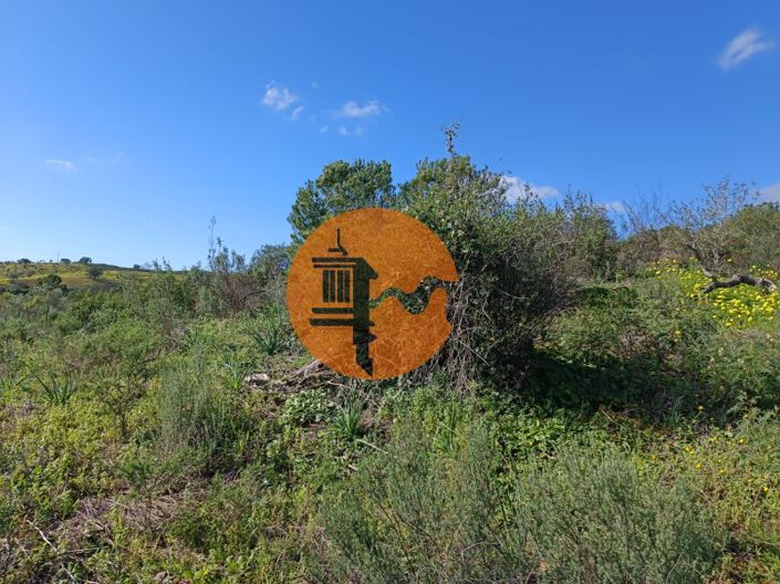 Image No.12-Plot for sale