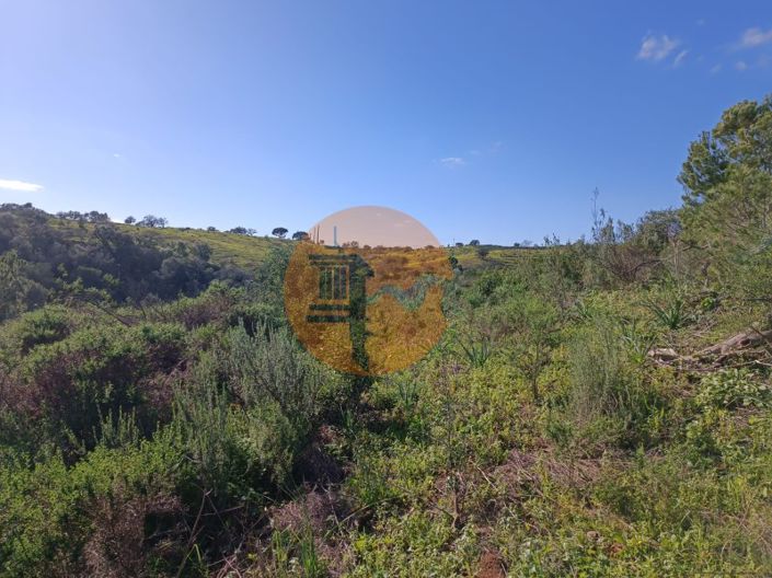 Image No.13-Plot for sale