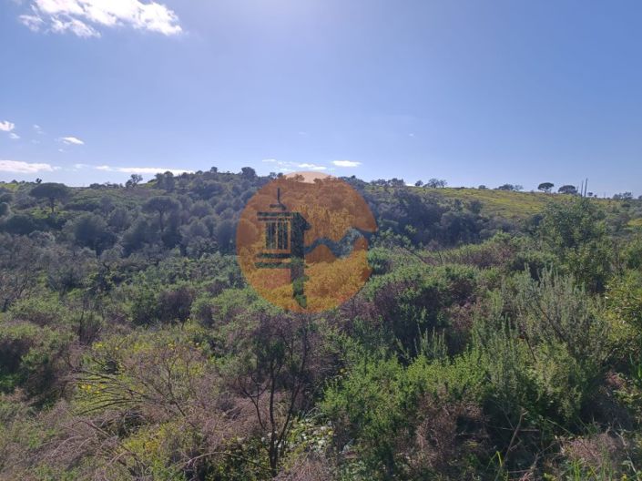 Image No.16-Plot for sale