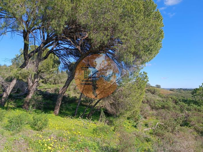 Image No.17-Plot for sale