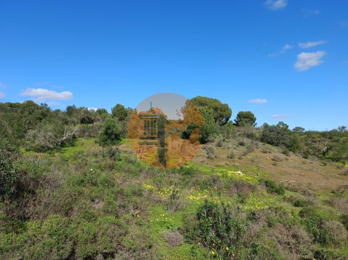 Image No.23-Plot for sale