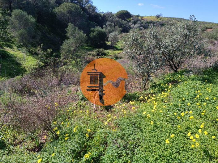 Image No.25-Plot for sale