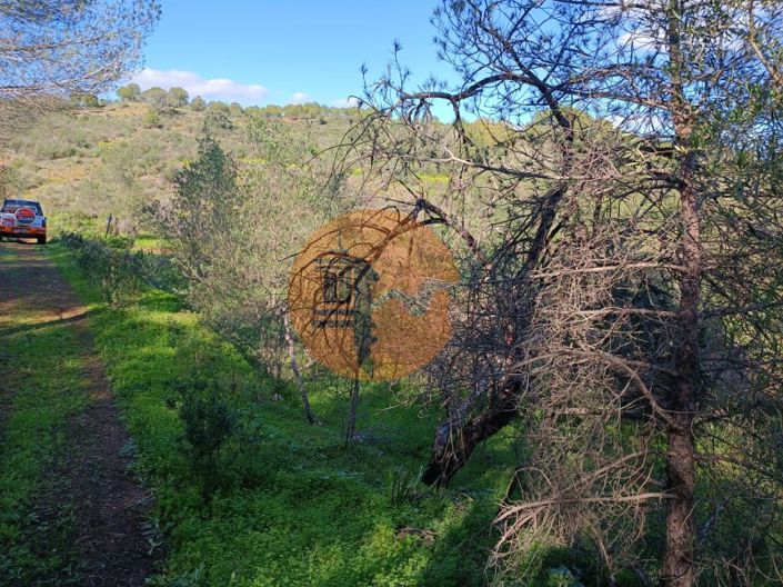 Image No.29-Plot for sale