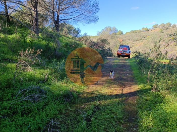 Image No.30-Plot for sale