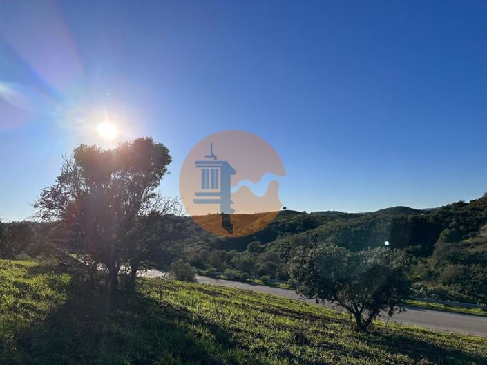 Image No.4-Plot for sale