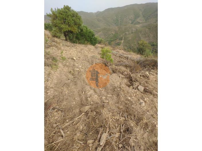 Image No.10-Plot for sale