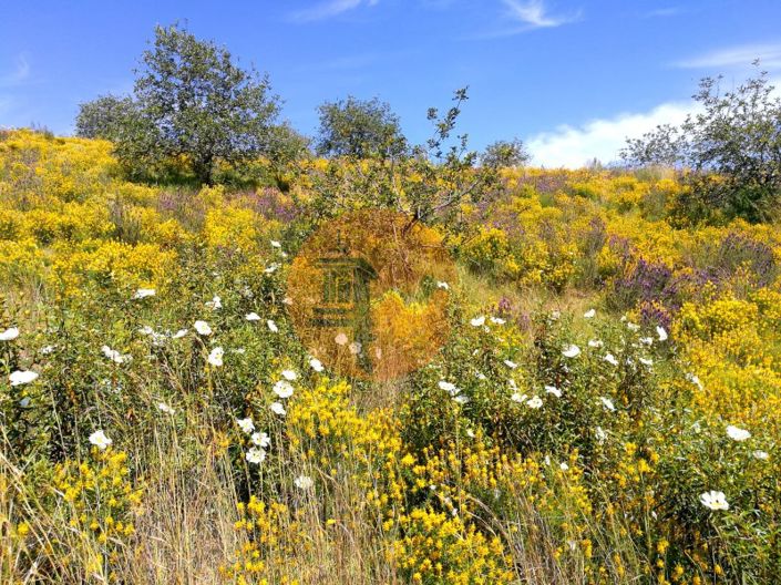 Image No.14-Terrain à vendre à Castro Marim