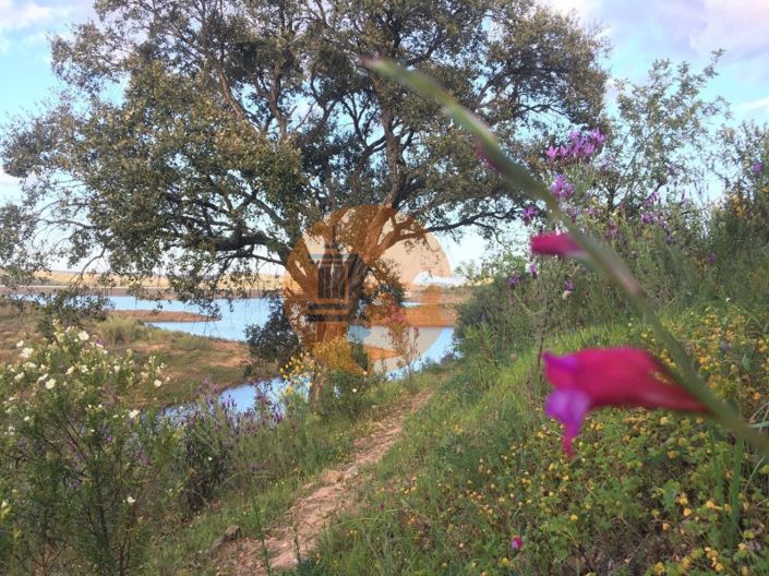 Image No.29-Plot for sale