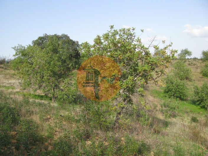 Image No.53-Plot for sale