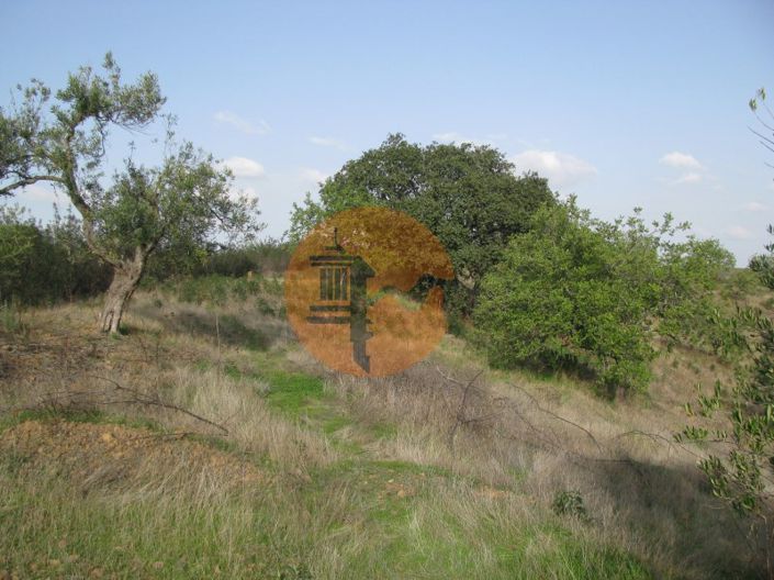 Image No.54-Plot for sale