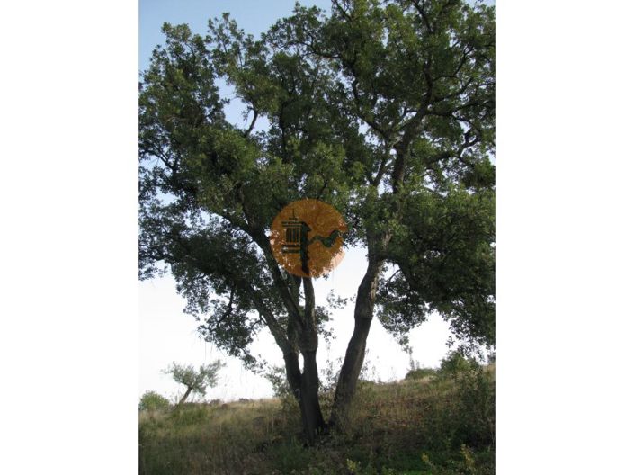 Image No.59-Terrain à vendre à Castro Marim