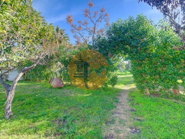 Image No.44-4 Bed House for sale