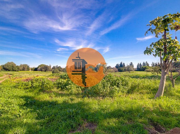 Image No.47-4 Bed House for sale