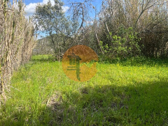 Image No.17-Plot for sale