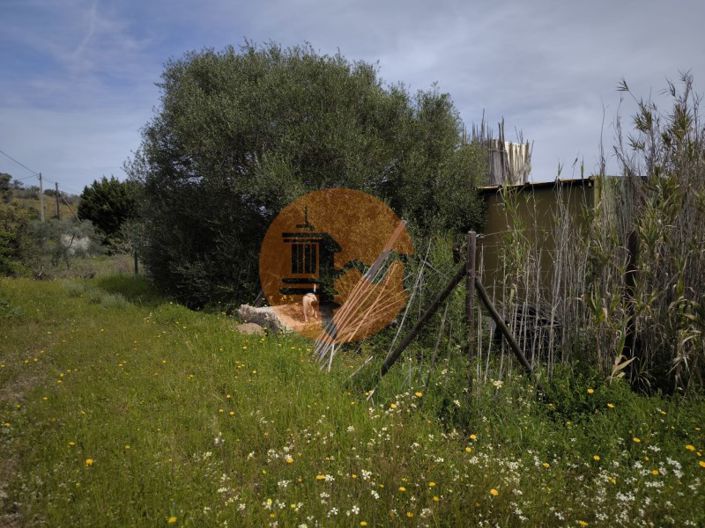 Image No.11-Plot for sale