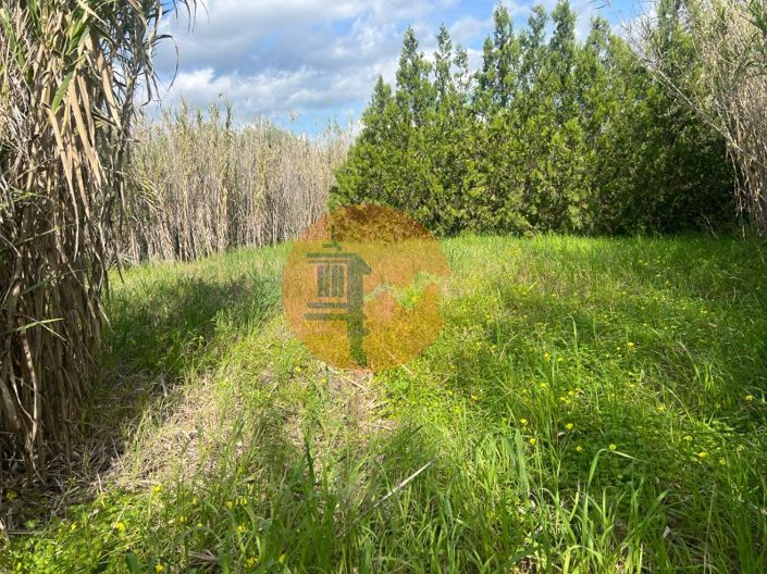 Image No.15-Plot for sale