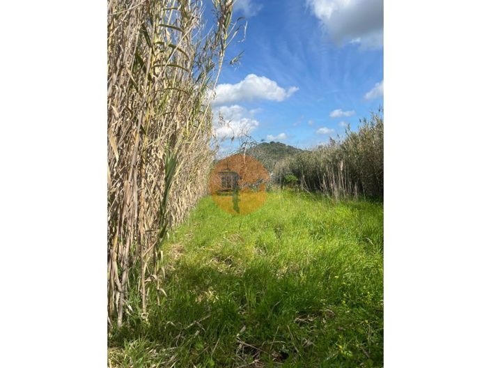 Image No.18-Plot for sale