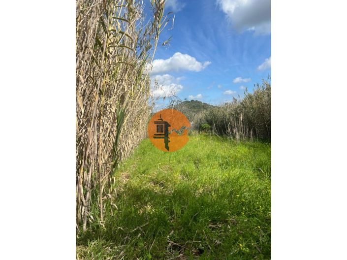 Image No.18-Plot for sale