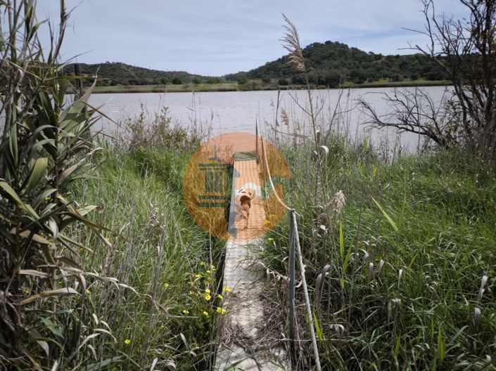 Image No.38-Plot for sale