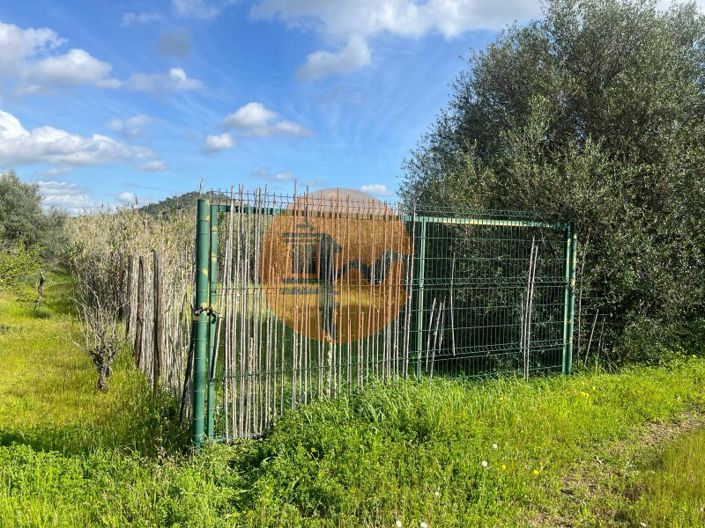 Image No.23-Plot for sale