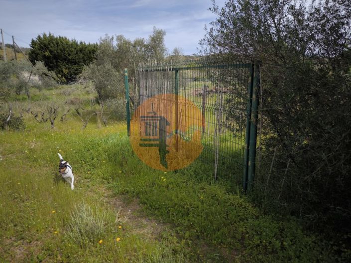 Image No.42-Plot for sale